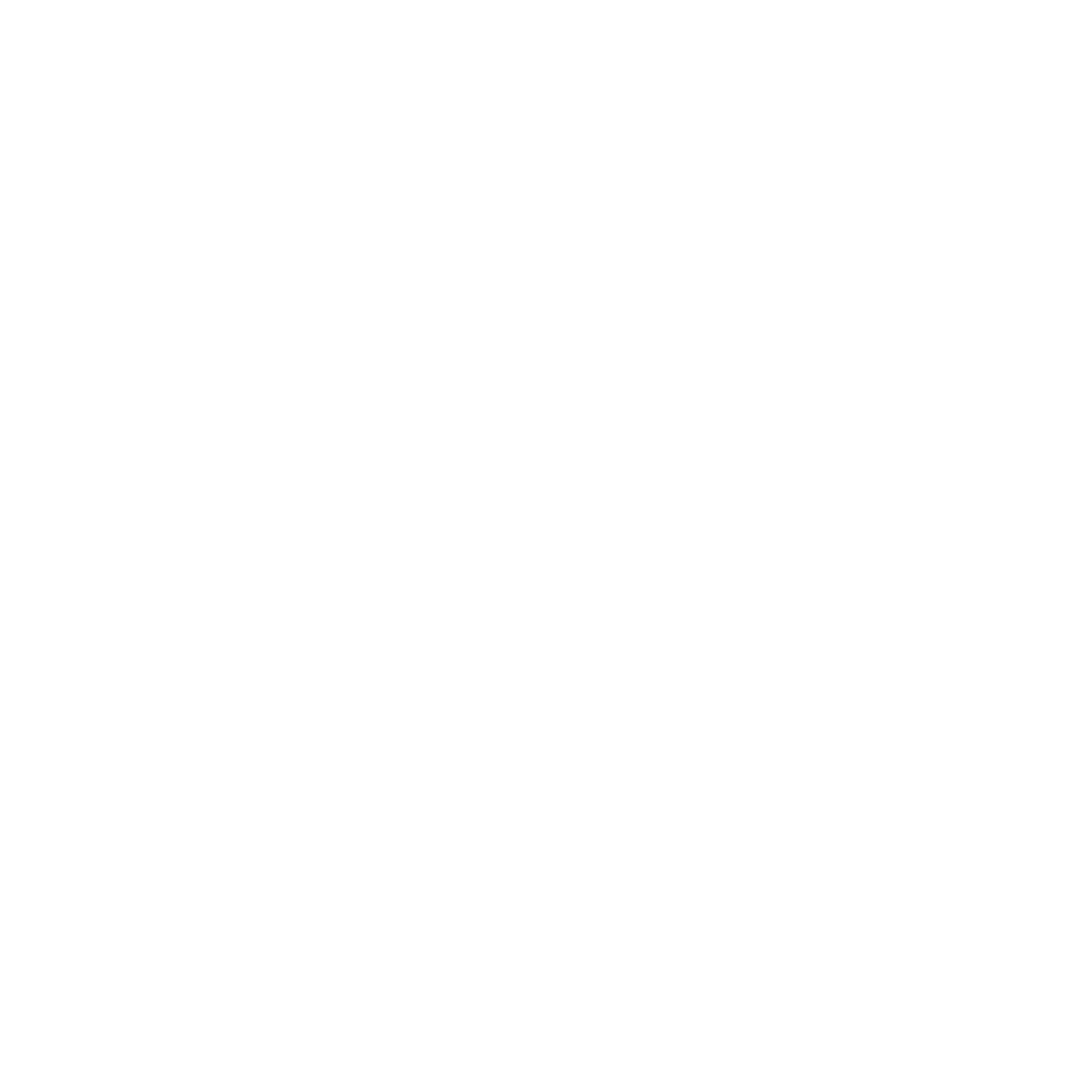brainlove logo · white