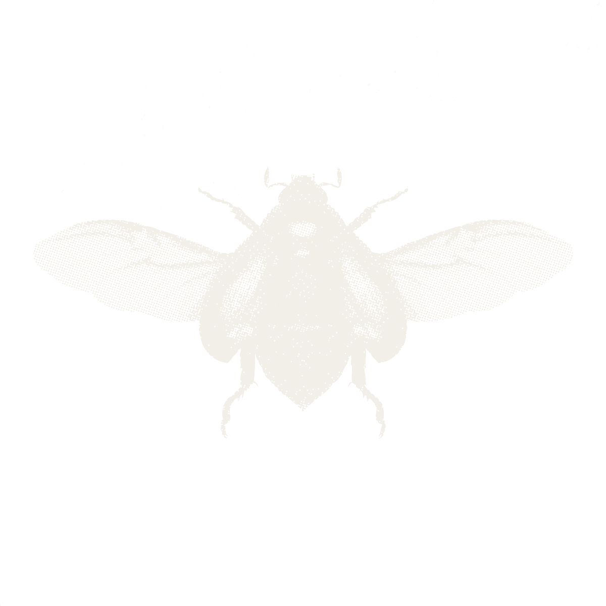 the mutewax scarab