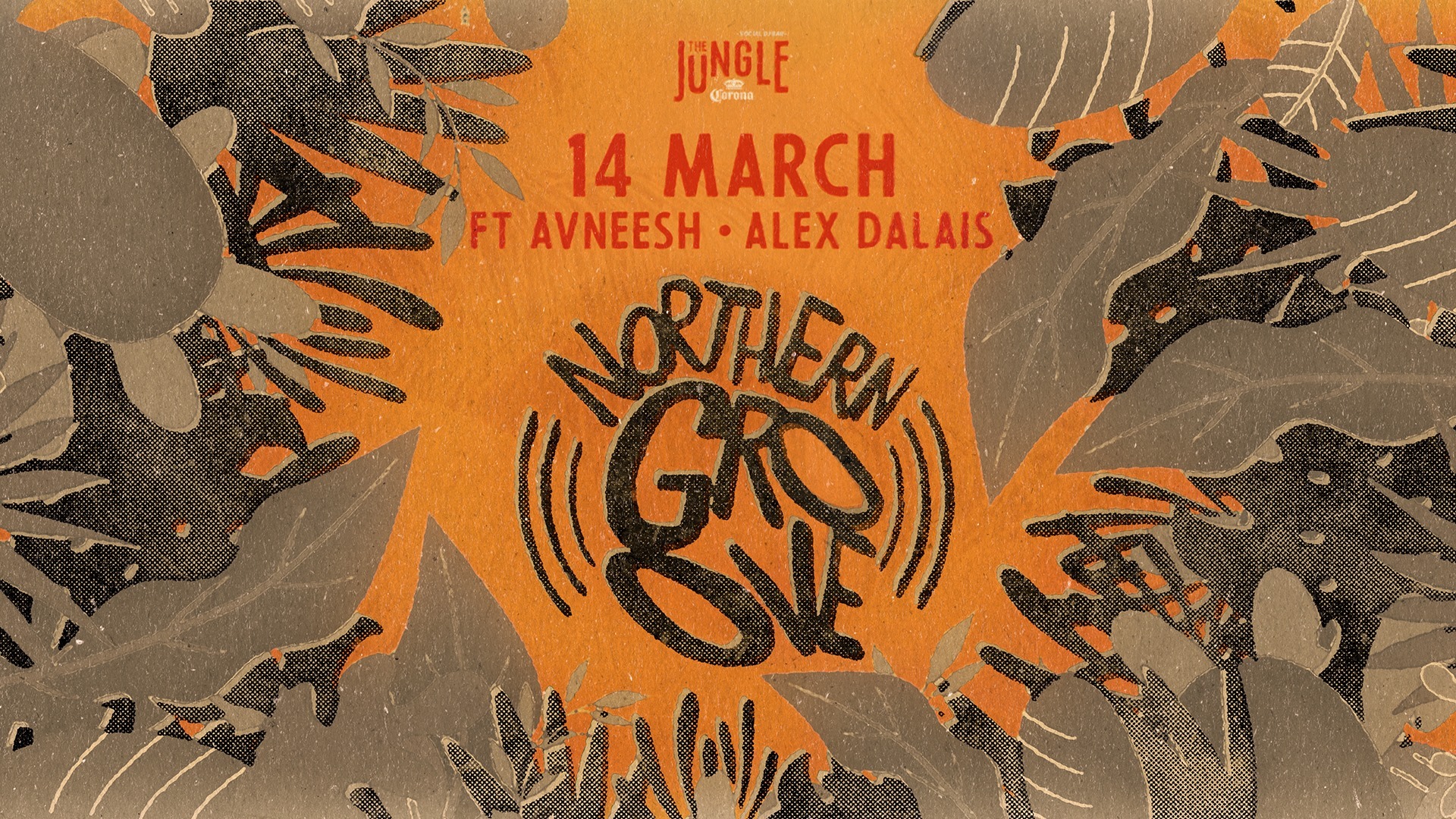 northern groove