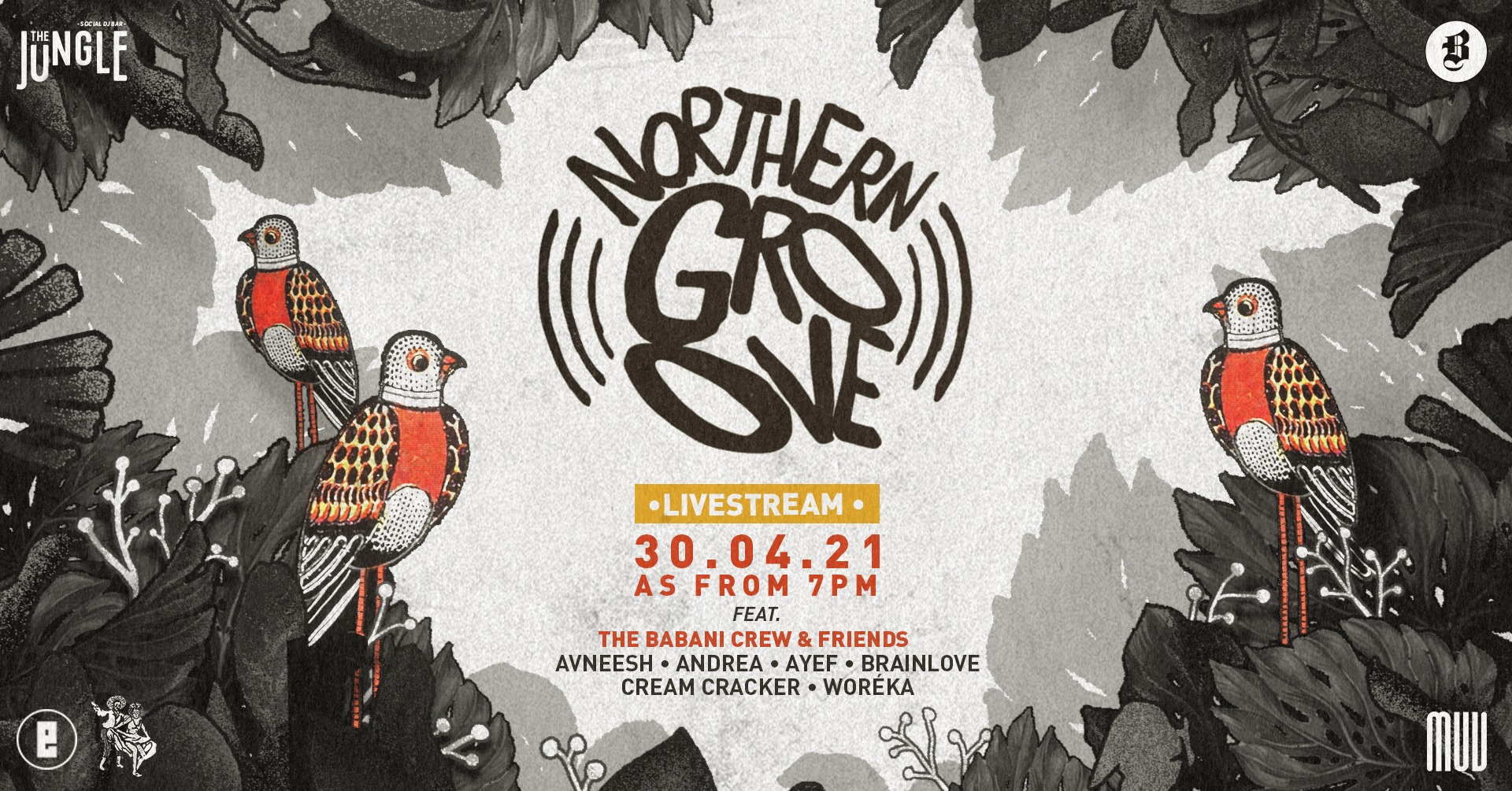 northern groove · livestream
