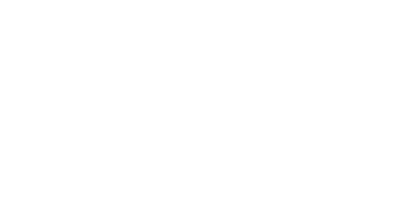 the storë